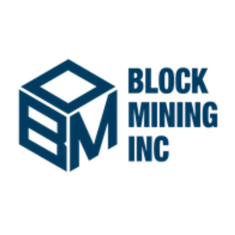 Block Mining - 기업 상세 정보 - 로아AI